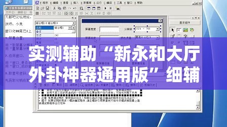 实测辅助“新永和大厅外卦神器通用版”细辅助教程分享