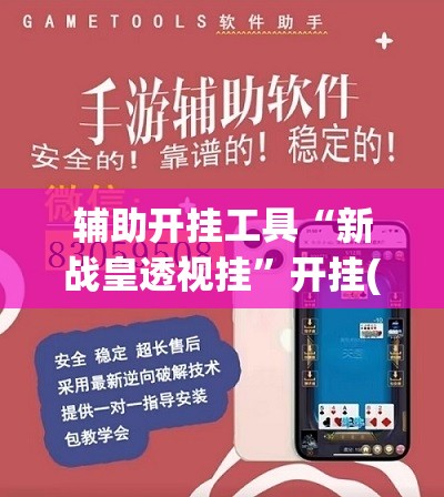辅助开挂工具“新战皇透视挂”开挂(透视)辅助教程