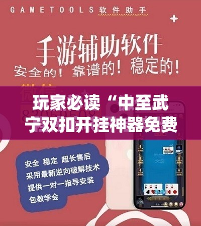 玩家必读“中至武宁双扣开挂神器免费”开挂(透视)最新辅助详细