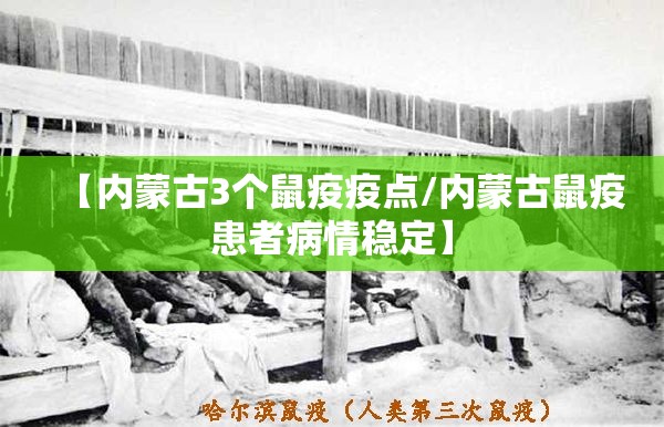 【内蒙古3个鼠疫疫点/内蒙古鼠疫患者病情稳定】 【内蒙古3个鼠疫疫点/内蒙古鼠疫患者病情稳定】