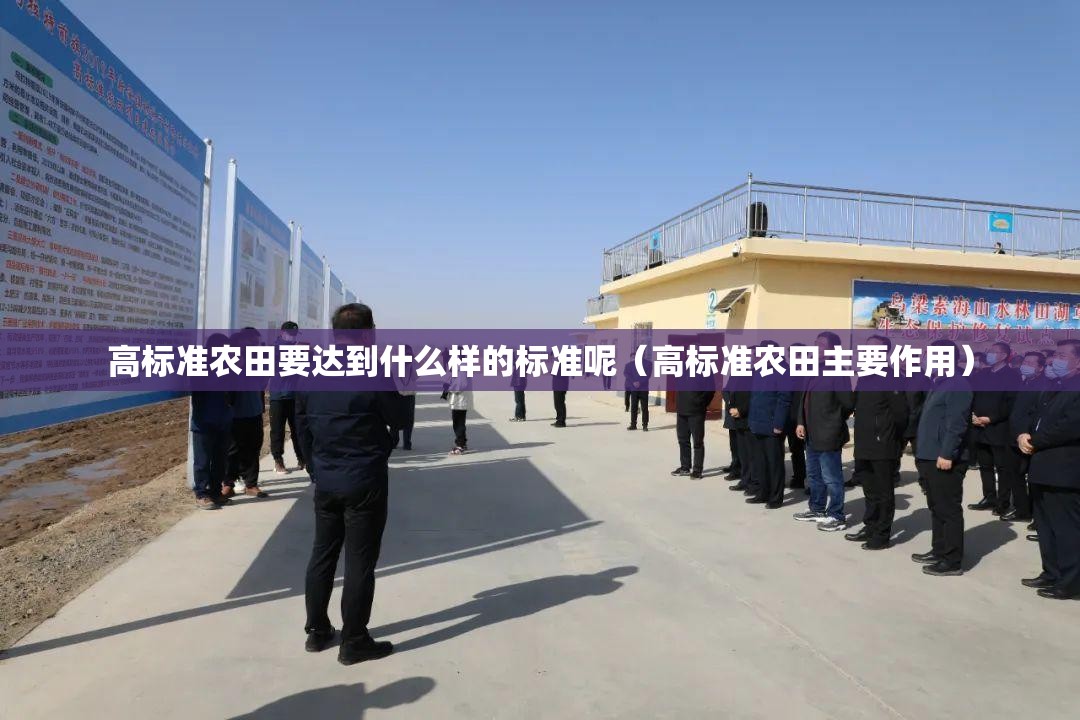 高标准农田要达到什么样的标准呢(高标准农田主要作用) 高标准农田要达到什么样的标准呢(高标准农田主要作用)