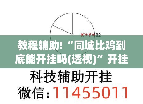 教程辅助!“同城比鸡到底能开挂吗(透视)	”开挂辅助脚本+详细开挂安装教程