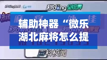 辅助神器“微乐湖北麻将怎么提高胜率(透视)	”开挂辅助脚本+详细开挂安装教程