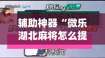 辅助神器“微乐湖北麻将怎么提高胜率(透视)”开挂辅助脚本+详细开挂安装教程