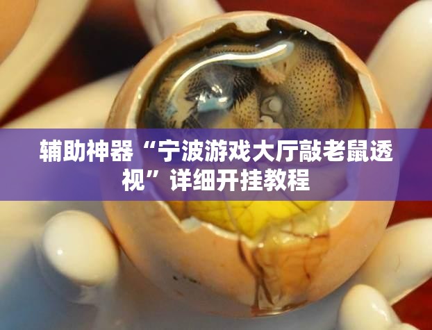 辅助神器“宁波游戏大厅敲老鼠透视”详细开挂教程