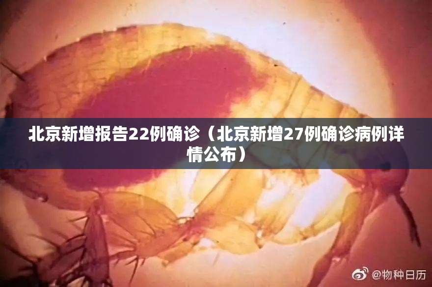 北京新增报告22例确诊(北京新增27例确诊病例详情公布) 北京新增报告22例确诊(北京新增27例确诊病例详情公布)