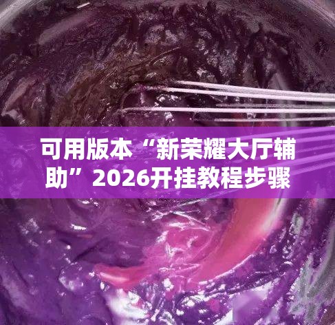 可用版本“新荣耀大厅辅助”2026开挂教程步骤