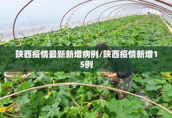 陕西疫情最新新增病例/陕西疫情新增15例 陕西疫情最新新增病例/陕西疫情新增15例