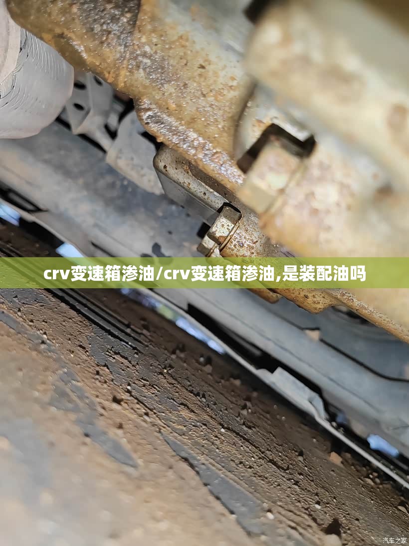 crv变速箱渗油/crv变速箱渗油,是装配油吗 crv变速箱渗油/crv变速箱渗油,是装配油吗