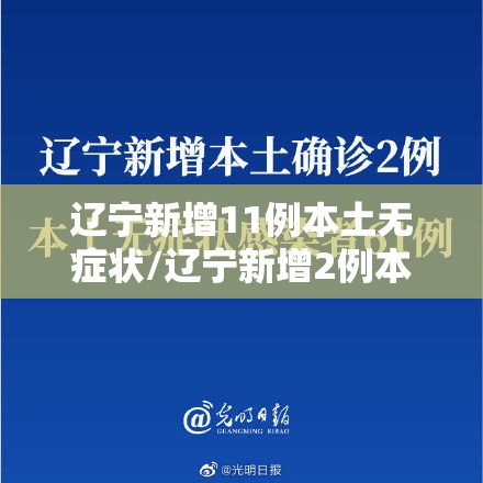 辽宁新增11例本土无症状/辽宁新增2例本土确诊6例无症状 辽宁新增11例本土无症状/辽宁新增2例本土确诊6例无症状