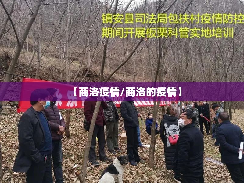 【商洛疫情/商洛的疫情】 【商洛疫情/商洛的疫情】