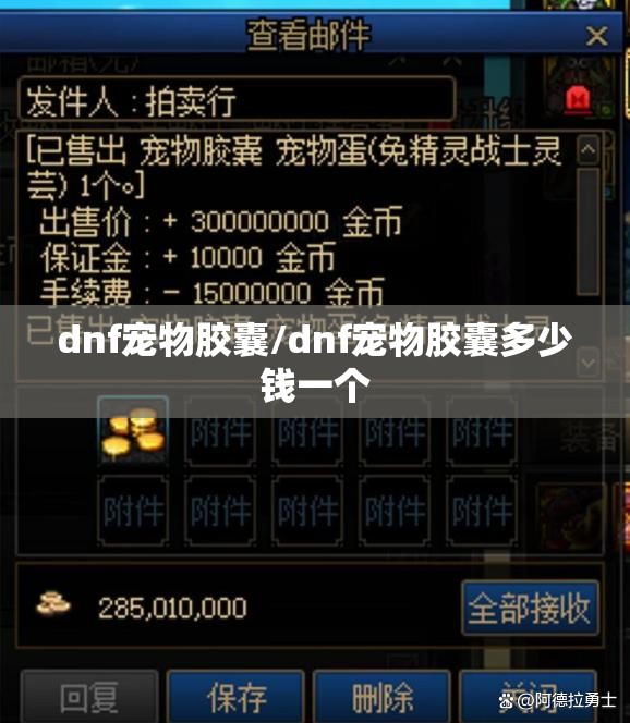dnf宠物胶囊/dnf宠物胶囊多少钱一个 dnf宠物胶囊/dnf宠物胶囊多少钱一个