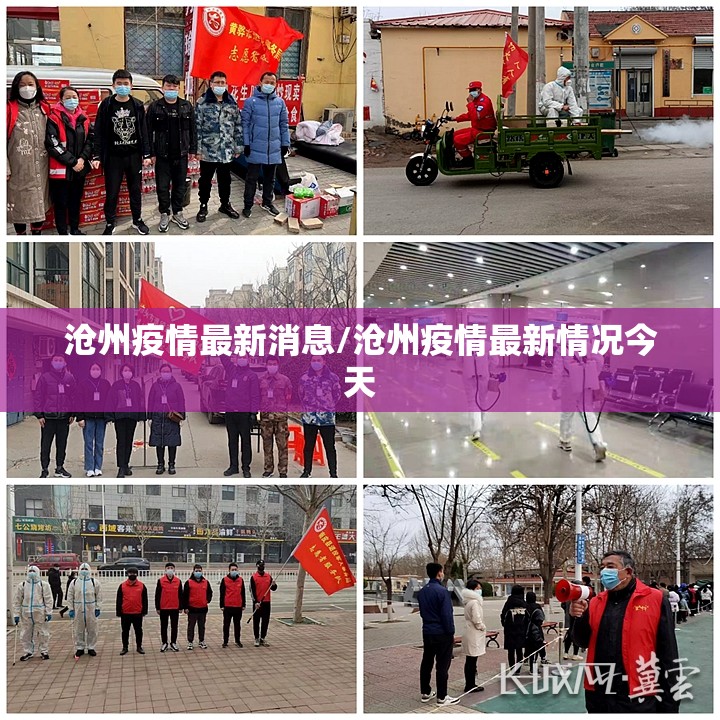 沧州疫情最新消息/沧州疫情最新情况今天 沧州疫情最新消息/沧州疫情最新情况今天