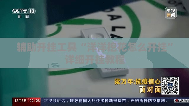 辅助开挂工具“洋洋挖花怎么开挂”详细开挂教程
