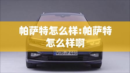 帕萨特怎么样:帕萨特怎么样啊