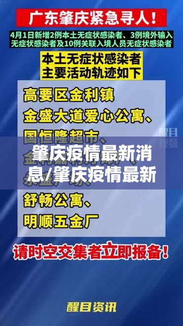 肇庆疫情最新消息/肇庆疫情最新报道 肇庆疫情最新消息/肇庆疫情最新报道
