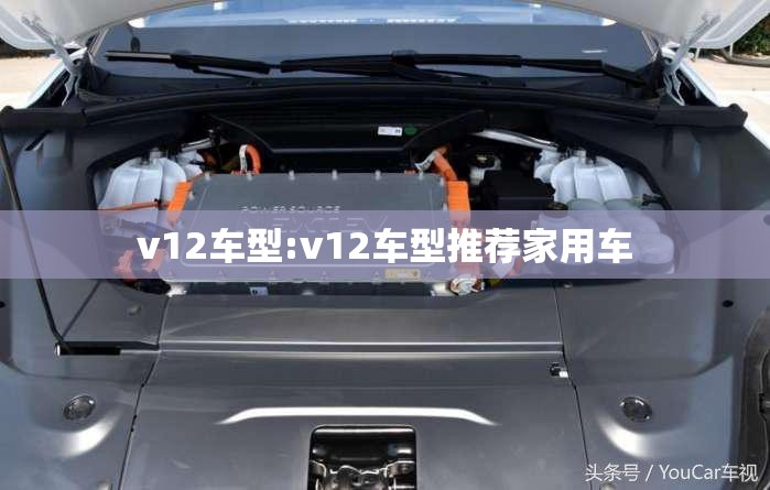 v12车型:v12车型推荐家用车 v12车型:v12车型推荐家用车