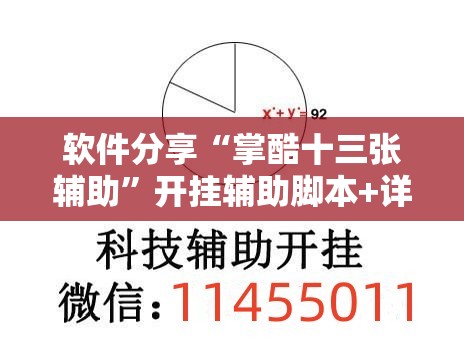 软件分享“掌酷十三张辅助”开挂辅助脚本+详细开挂安装教程