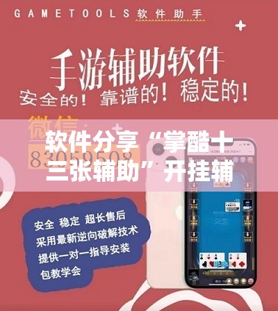 软件分享“掌酷十三张辅助”开挂辅助脚本+详细开挂安装教程
