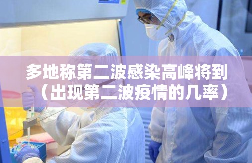 多地称第二波感染高峰将到(出现第二波疫情的几率) 多地称第二波感染高峰将到(出现第二波疫情的几率)