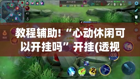 教程辅助!“心动休闲可以开挂吗”开挂(透视)最新辅助详细