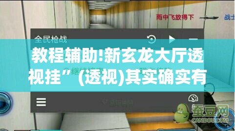 教程辅助!新玄龙大厅透视挂”(透视)其实确实有挂