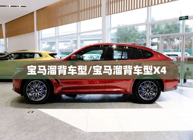 宝马溜背车型/宝马溜背车型X4 宝马溜背车型/宝马溜背车型X4