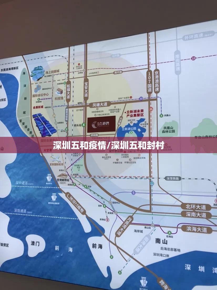 深圳五和疫情/深圳五和封村 深圳五和疫情/深圳五和封村