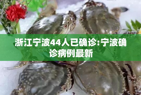 浙江宁波44人已确诊:宁波确诊病例最新 浙江宁波44人已确诊:宁波确诊病例最新