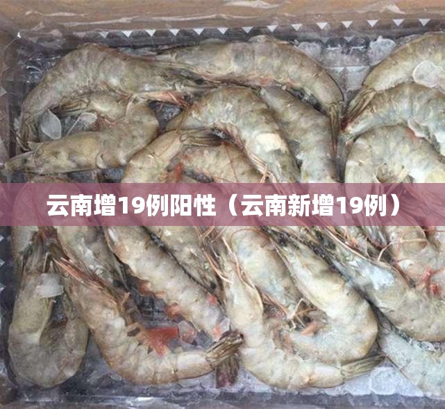云南增19例阳性(云南新增19例) 云南增19例阳性(云南新增19例)
