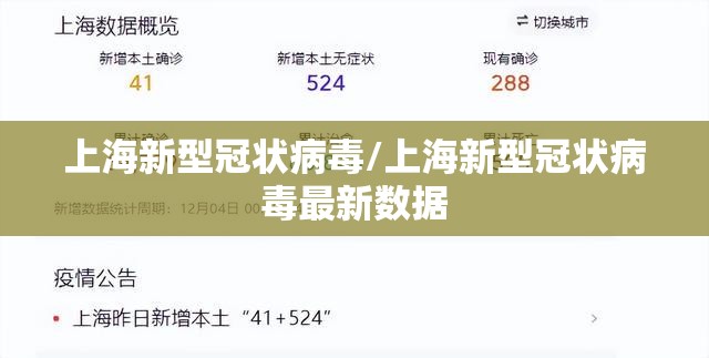 上海新型冠状病毒/上海新型冠状病毒最新数据