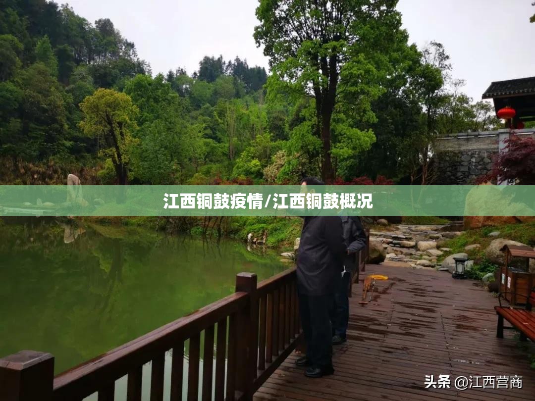 江西铜鼓疫情/江西铜鼓概况