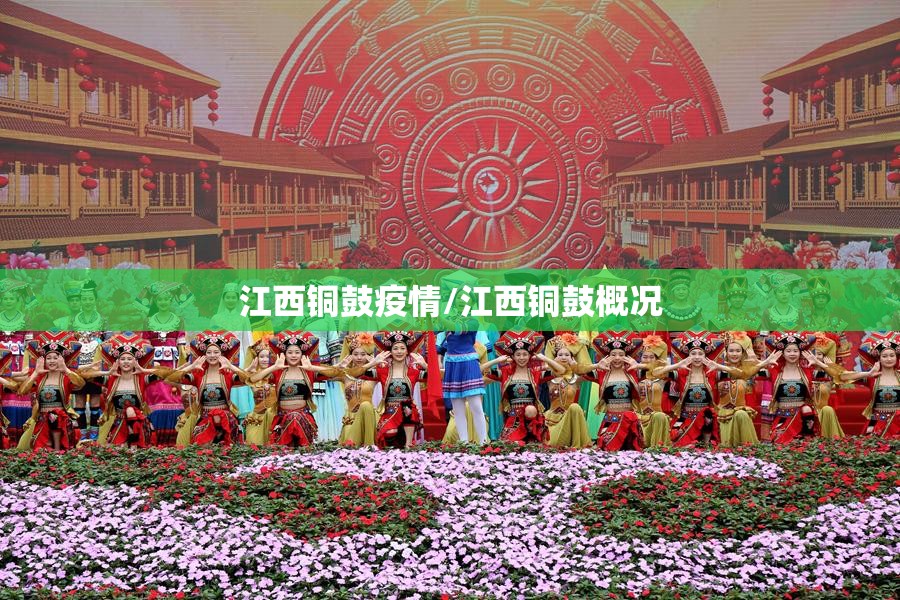 江西铜鼓疫情/江西铜鼓概况