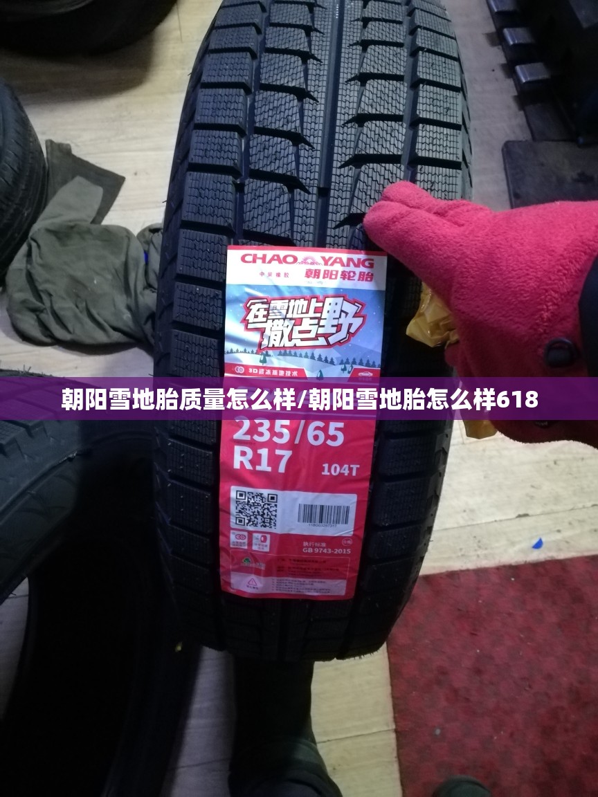 朝阳雪地胎质量怎么样/朝阳雪地胎怎么样618 朝阳雪地胎质量怎么样/朝阳雪地胎怎么样618
