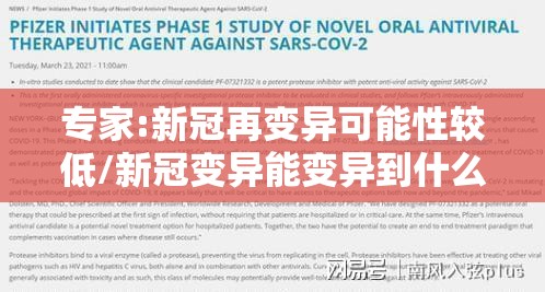 专家:新冠再变异可能性较低/新冠变异能变异到什么程度