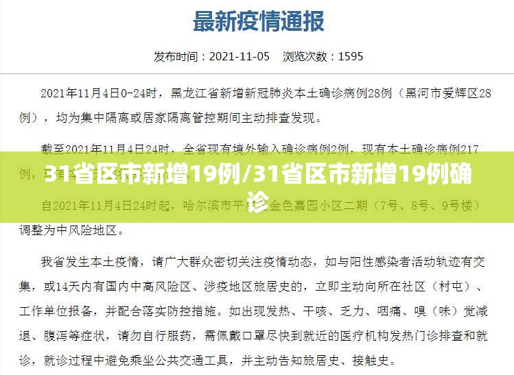 31省区市新增19例/31省区市新增19例确诊