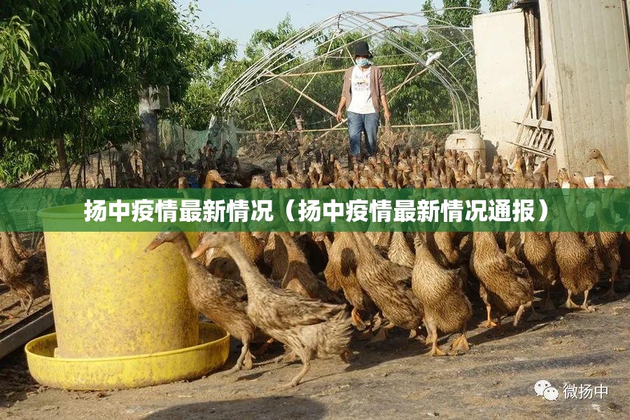 扬中疫情最新情况（扬中疫情最新情况通报）