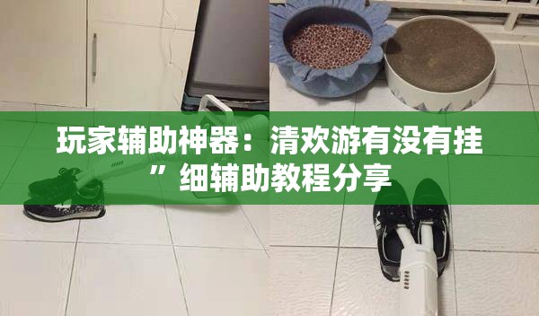 玩家辅助神器：清欢游有没有挂	”细辅助教程分享