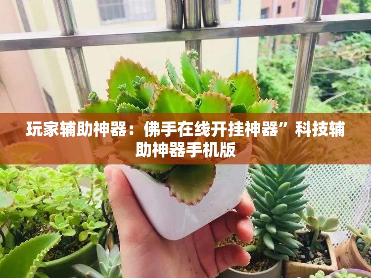 玩家辅助神器：佛手在线开挂神器”科技辅助神器手机版