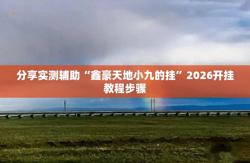 分享实测辅助“鑫豪天地小九的挂”2026开挂教程步骤