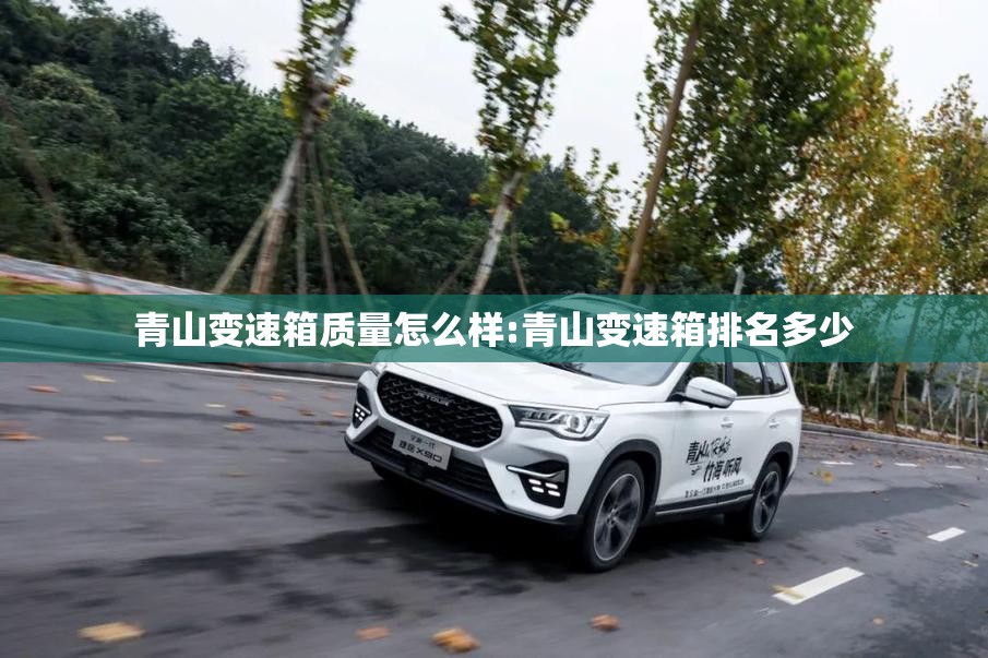 青山变速箱质量怎么样:青山变速箱排名多少 青山变速箱质量怎么样:青山变速箱排名多少