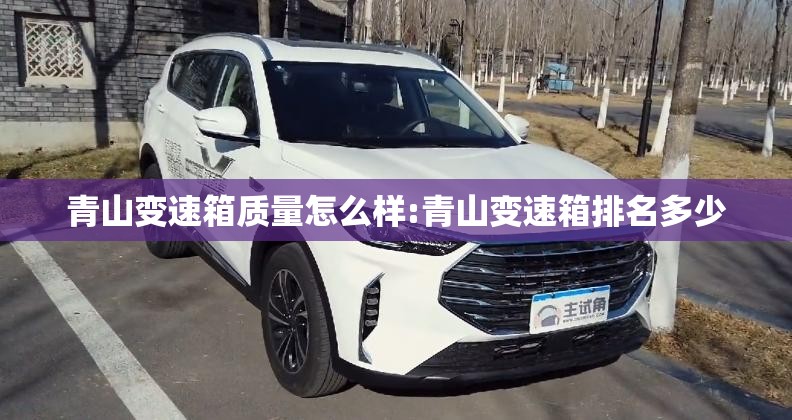 青山变速箱质量怎么样:青山变速箱排名多少 青山变速箱质量怎么样:青山变速箱排名多少