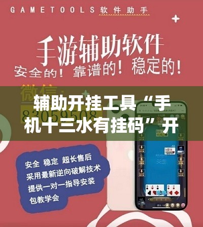 辅助开挂工具“手机十三水有挂码	”开挂(透视)最新辅助详细