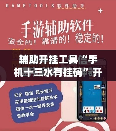 辅助开挂工具“手机十三水有挂码	”开挂(透视)最新辅助详细