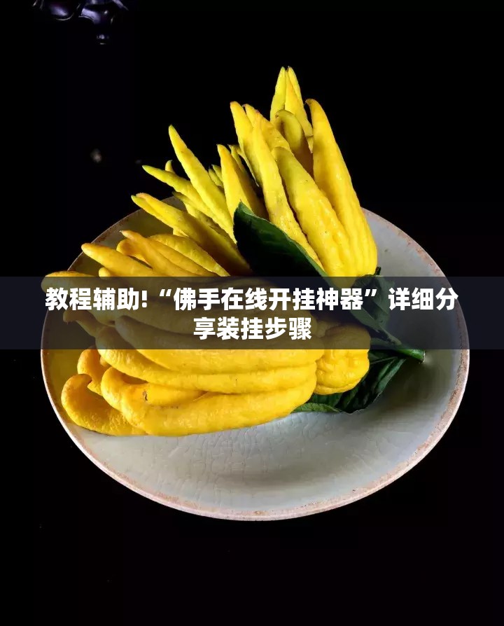 教程辅助!“佛手在线开挂神器”详细分享装挂步骤