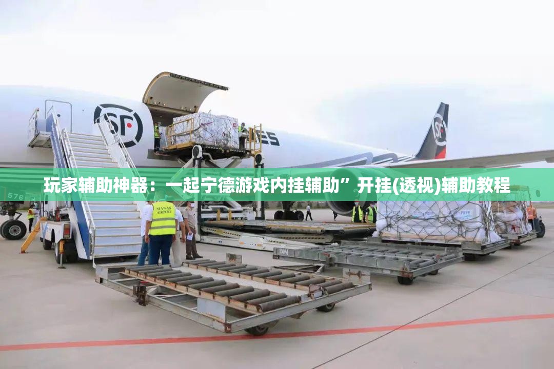 玩家辅助神器：一起宁德游戏内挂辅助”开挂(透视)辅助教程