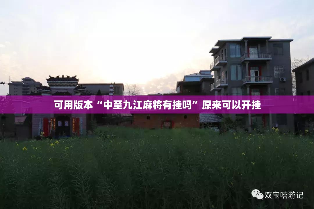 可用版本“中至九江麻将有挂吗	”原来可以开挂