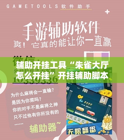 辅助开挂工具“朱雀大厅怎么开挂”开挂辅助脚本+详细开挂安装教程