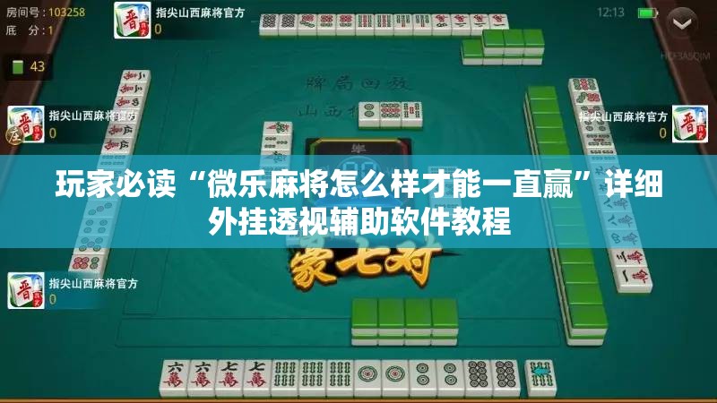 玩家必读“微乐麻将怎么样才能一直赢”详细外挂透视辅助软件教程