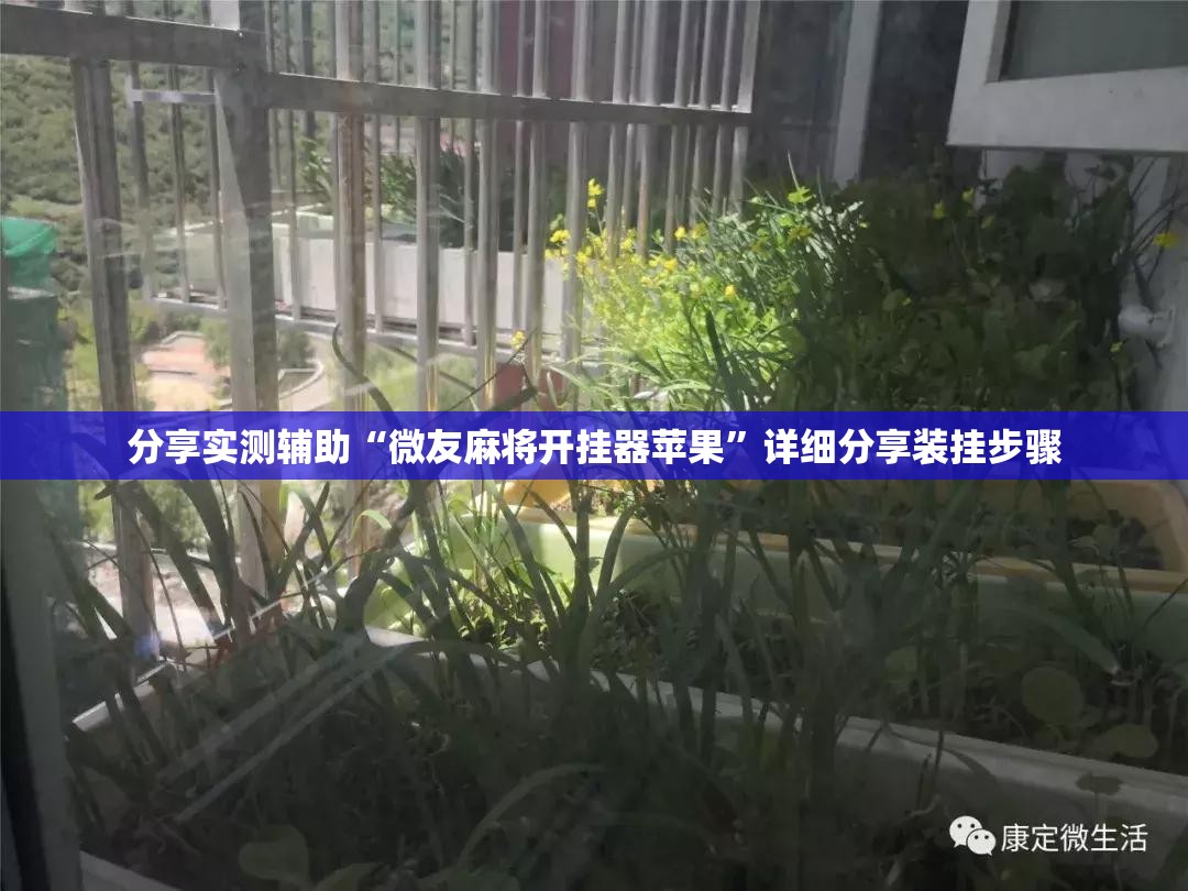 分享实测辅助“微友麻将开挂器苹果”详细分享装挂步骤